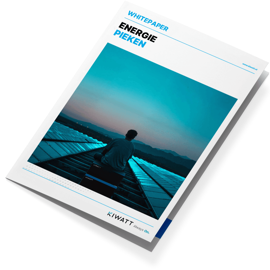 whitepaper-energiepieken