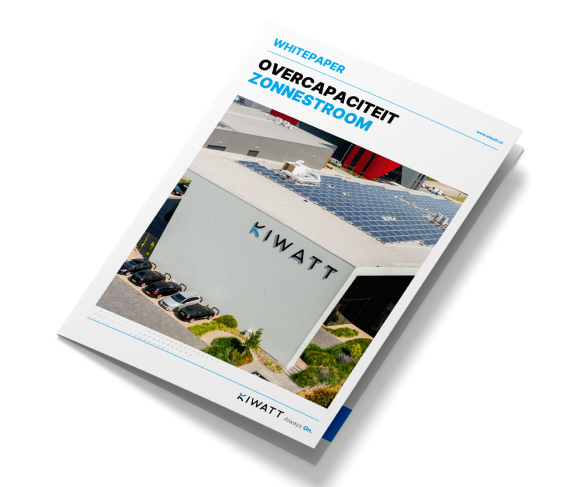 Whitepaper mockup 1 (2)